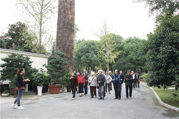 聚焦汇才 | 桐乡市府办退休老同志莅临汇才红木参观指导